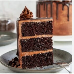 Chocolate Cake Slice