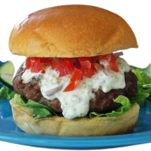 Spicy Gyro Cheese Burger